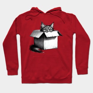 Cat in the box - Peeping Cat Hoodie